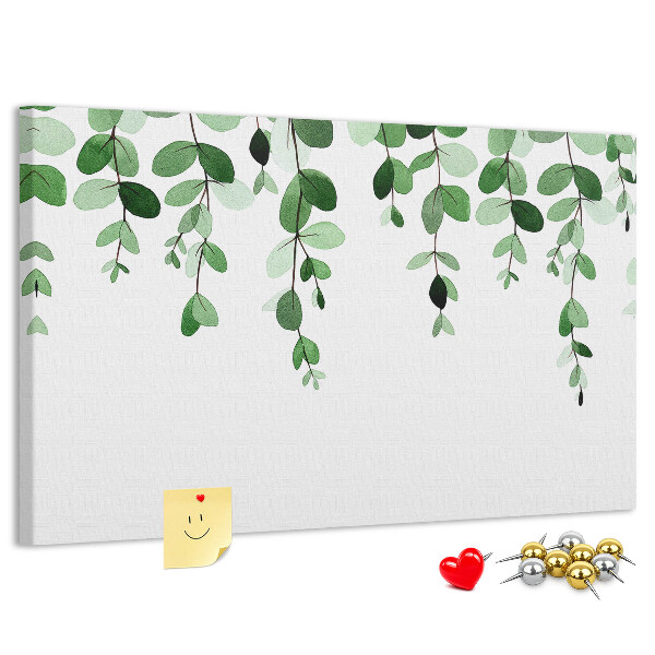 Cork board Plant leaves