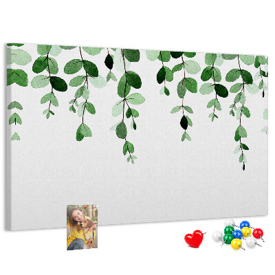 Cork board Plant leaves