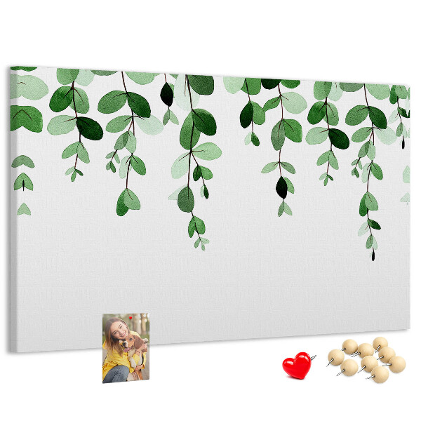 Cork board Plant leaves