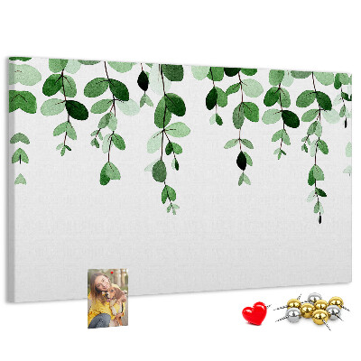 Cork board Plant leaves