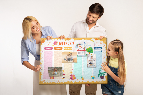 Cork display board Lesson plan