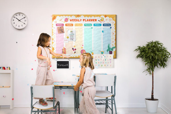 Cork display board Lesson plan