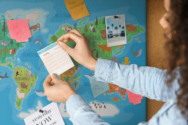 Cork memo board Cartoon map