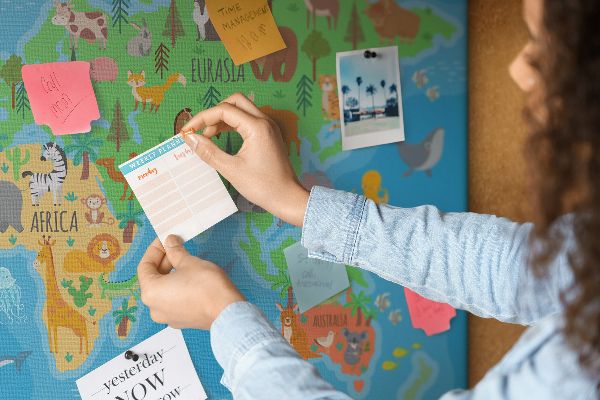 Cork memo board Cartoon map
