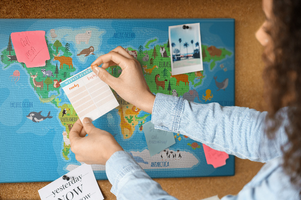 Cork memo board Cartoon map