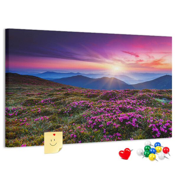 Cork board Sunrise flowers