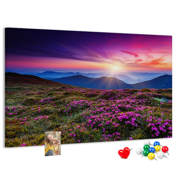 Cork board Sunrise flowers