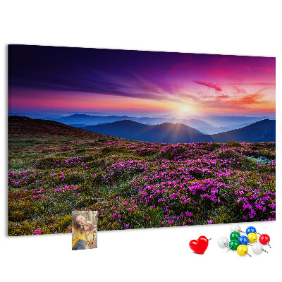 Cork board Sunrise flowers