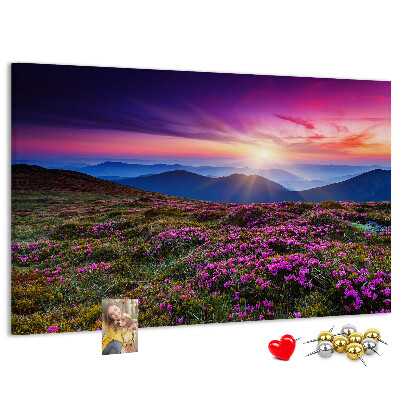 Cork board Sunrise flowers