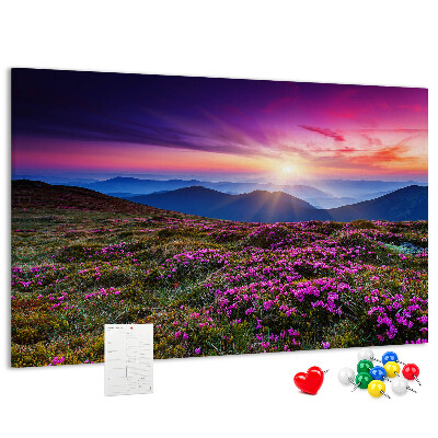 Cork board Sunrise flowers