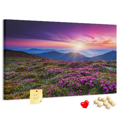 Cork board Sunrise flowers