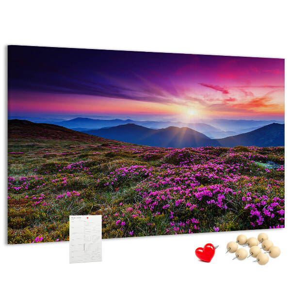 Cork board Sunrise flowers