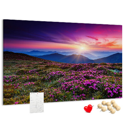 Cork board Sunrise flowers