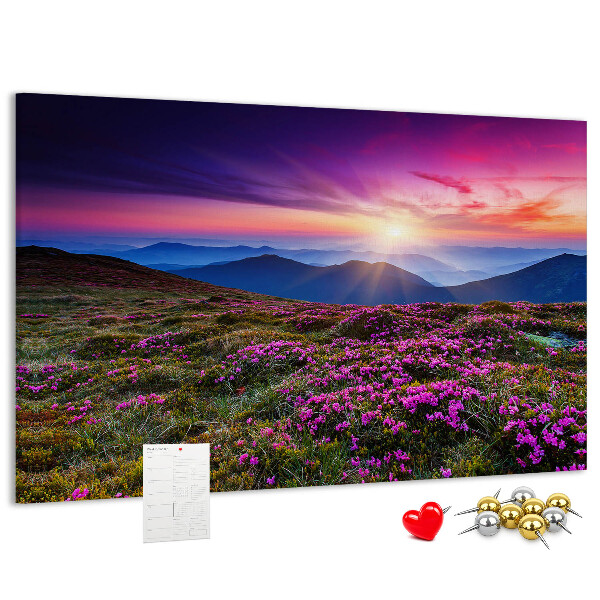 Cork board Sunrise flowers
