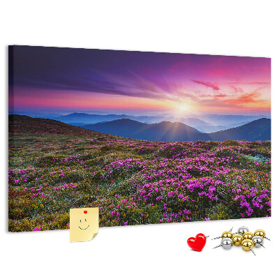 Cork board Sunrise flowers