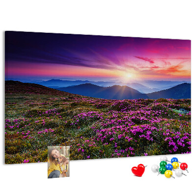 Cork board Sunrise flowers