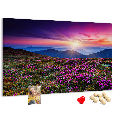 Cork board Sunrise flowers