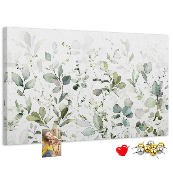 Cork display board Plants leaves