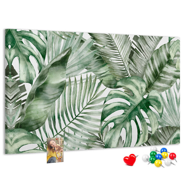 Cork board Plant leaves