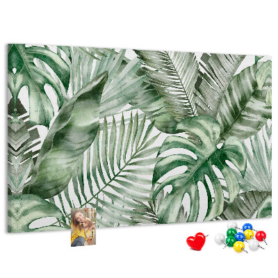Cork board Plant leaves