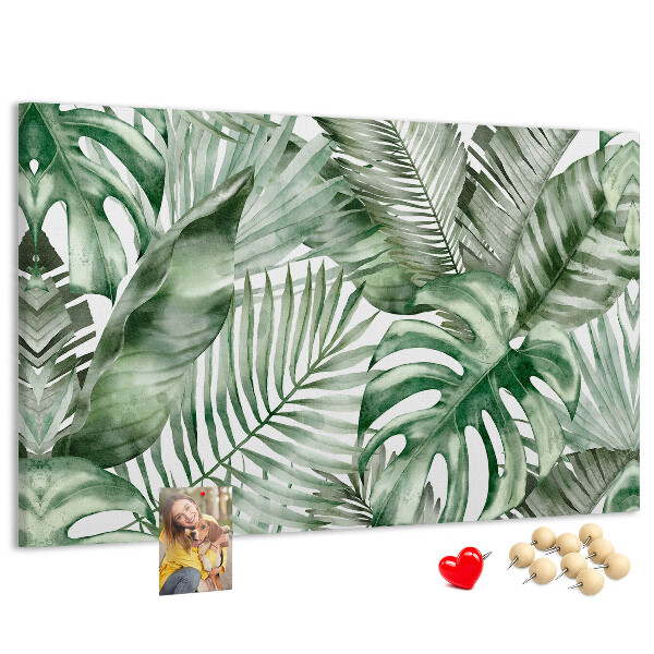 Cork board Plant leaves