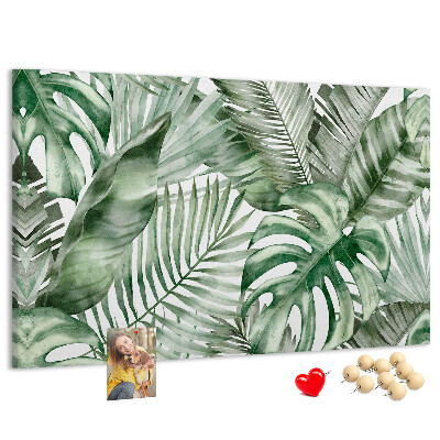 Cork board Plant leaves