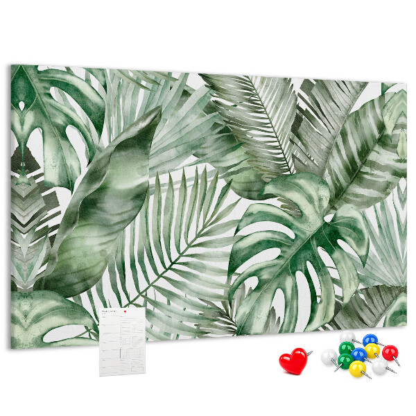 Cork board Plant leaves