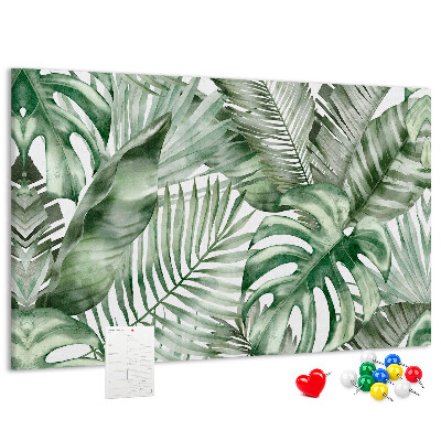 Cork board Plant leaves