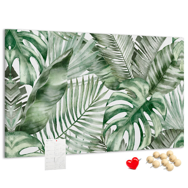 Cork board Plant leaves