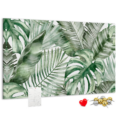 Cork board Plant leaves
