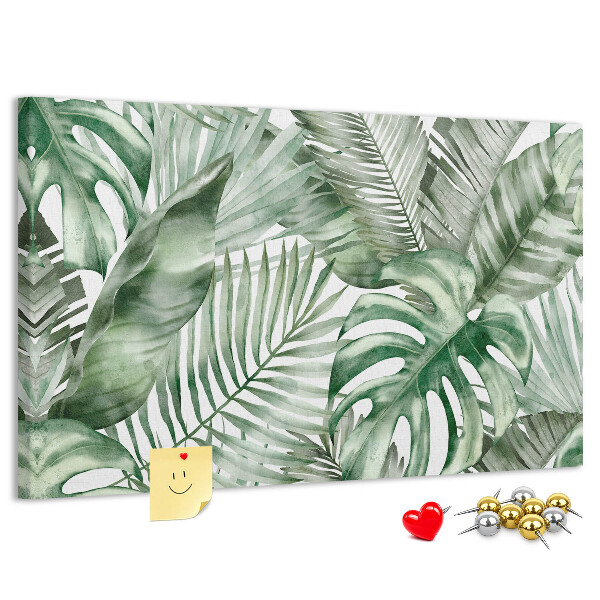 Cork board Plant leaves