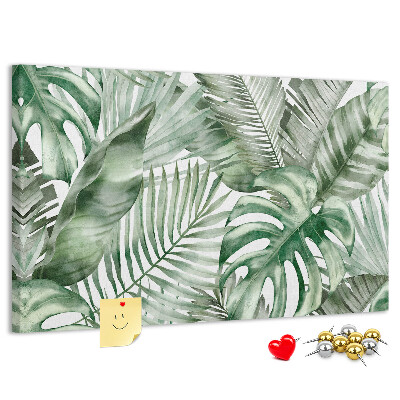 Cork board Plant leaves