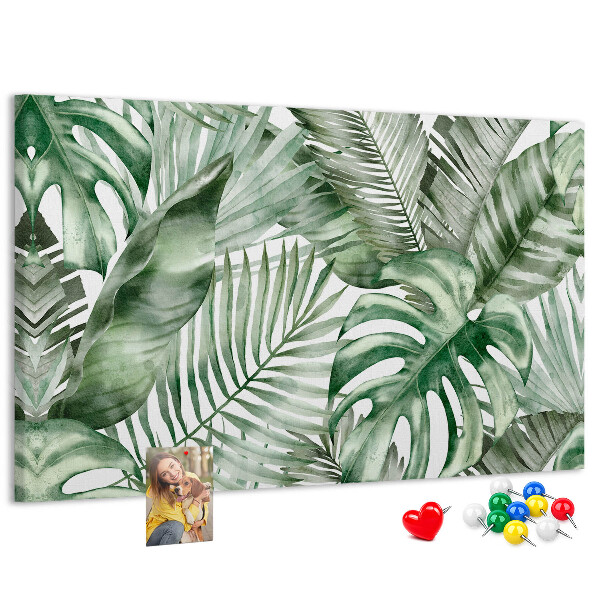 Cork board Plant leaves