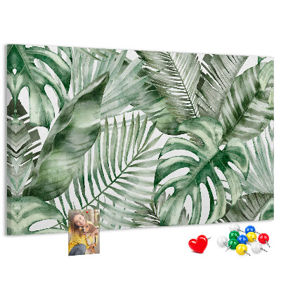 Cork board Plant leaves