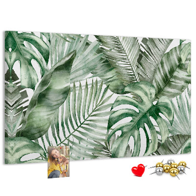 Cork board Plant leaves