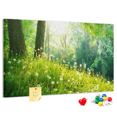 Cork memo board Spring nature