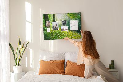 Cork memo board Spring nature