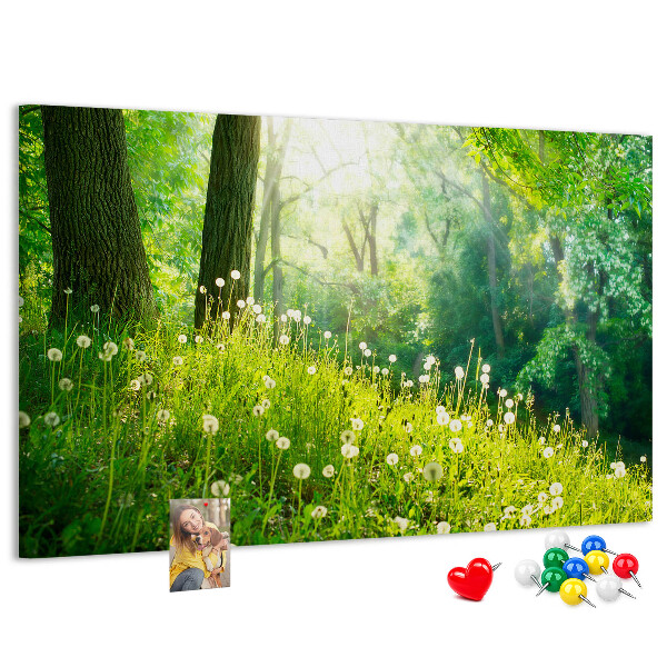 Cork memo board Spring nature