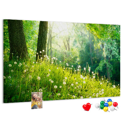 Cork memo board Spring nature