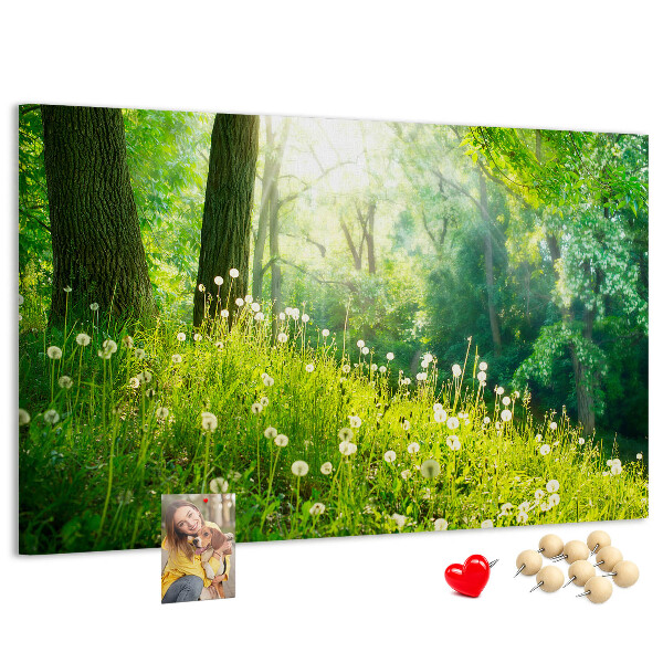 Cork memo board Spring nature