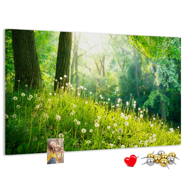 Cork memo board Spring nature