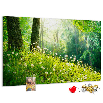 Cork memo board Spring nature