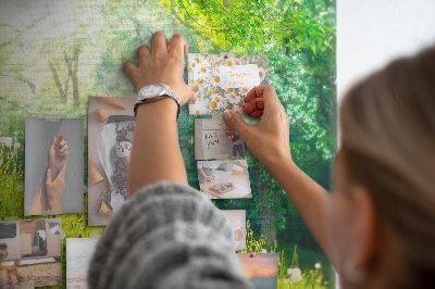 Cork memo board Spring nature