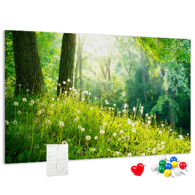 Cork memo board Spring nature