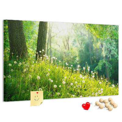 Cork memo board Spring nature
