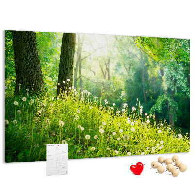 Cork memo board Spring nature