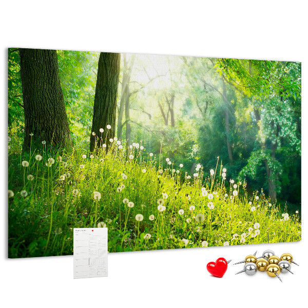 Cork memo board Spring nature