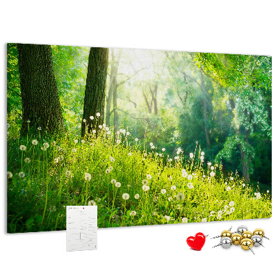 Cork memo board Spring nature