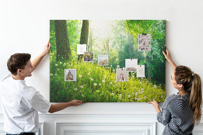 Cork memo board Spring nature