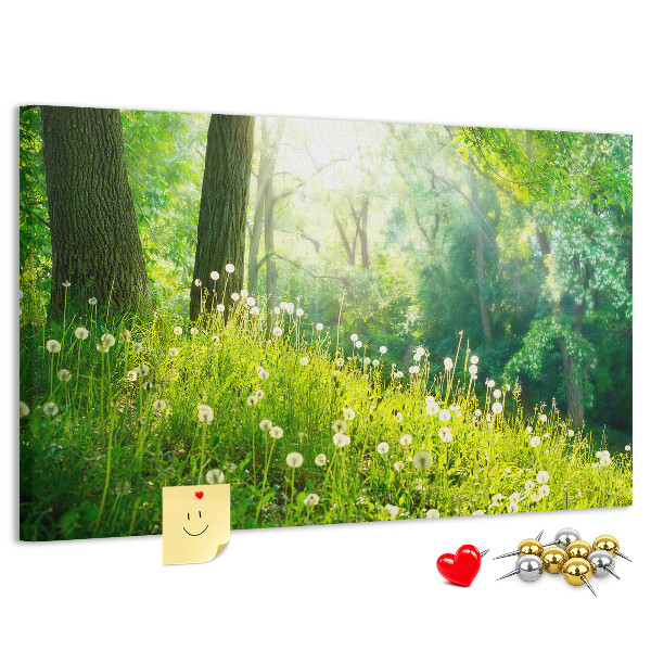 Cork memo board Spring nature